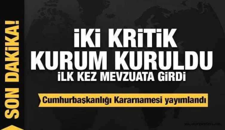 Cumhurbaşkanlığı Kararnamesi yayımlandı! İki kritik kurum kuruldu