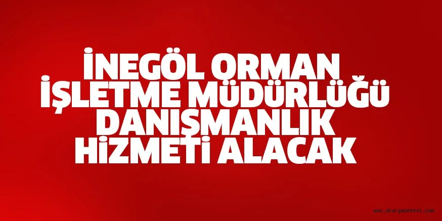 Danışmanlık hizmeti alınacak