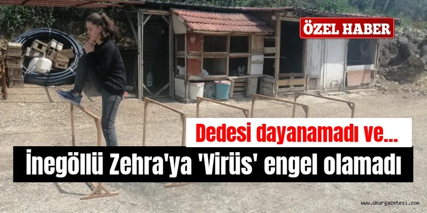 DEDESİ ENGEL PARKURU YAPTI ÇALIŞMALARINI AKBAŞLAR’DA SÜRDÜRÜYOR