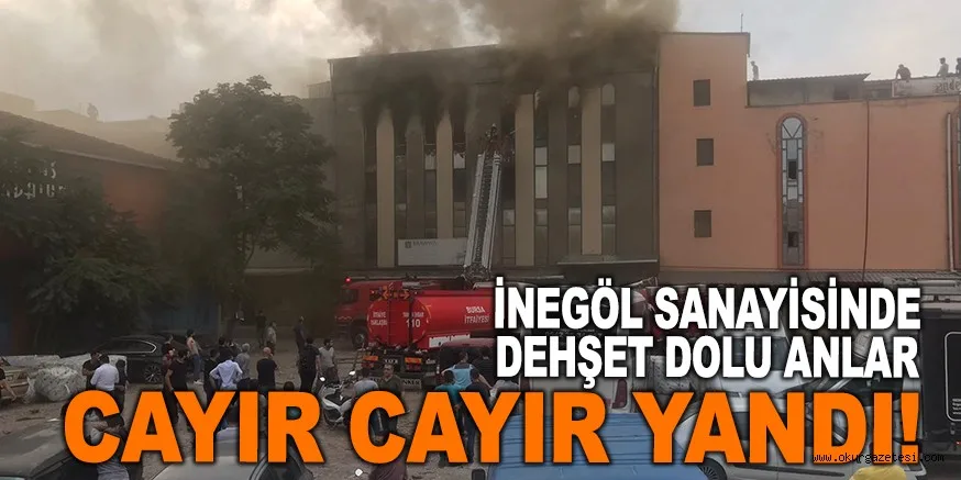DEHŞET DOLU ANLAR! CAYIR CAYIR YANDI