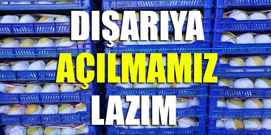 DIŞARIYA AÇILMAMIZ LAZIM