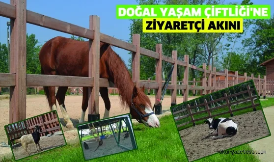 Doğal Yaşam Çiftliği'ne ziyaretçi akını