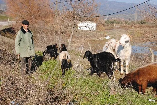 Doğuda Kar, Aydında Bahar