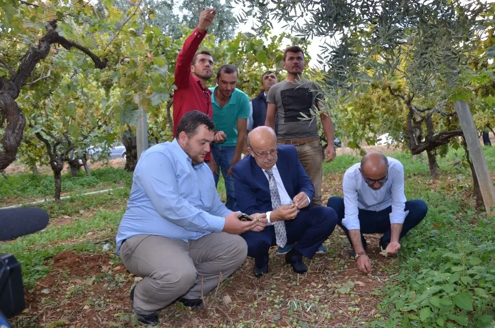 Dolu Mağduru İznikli Çiftçilere Destek