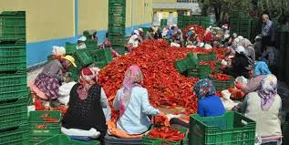 KULACA'DAN 1 MiLYON DOLARLIK iHRACAT