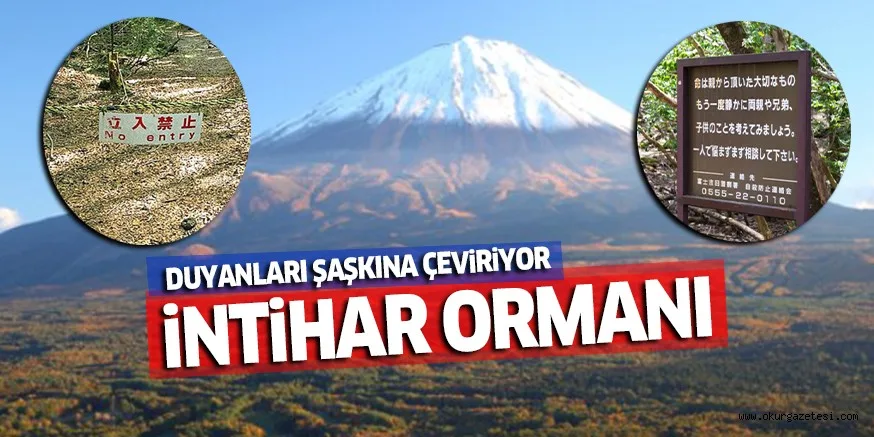 DUYANLARI ŞAŞKINA ÇEVİRİYOR 'İntihar Ormanı'