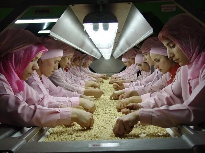Düzceden 2016 Yılında 25 Bin 678 Ton İç Fındık İhraç Edildi
