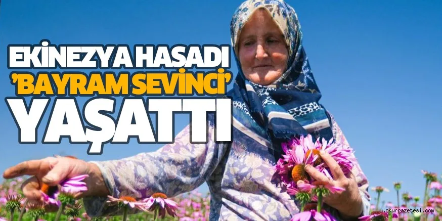 EKİNEZYA HASADI ‘’BAYRAM SEVİNCİ’’ YAŞATTI