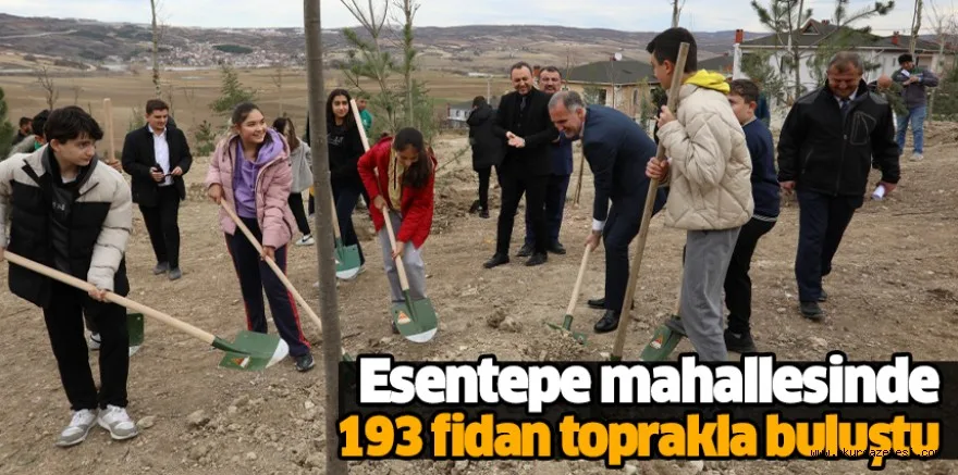 Esentepe mahallesinde 193 fidan toprakla buluştu