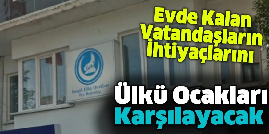 Evde kalan vatandaşların ihtiyaçlarını Ülkü Ocakları karşılayacak