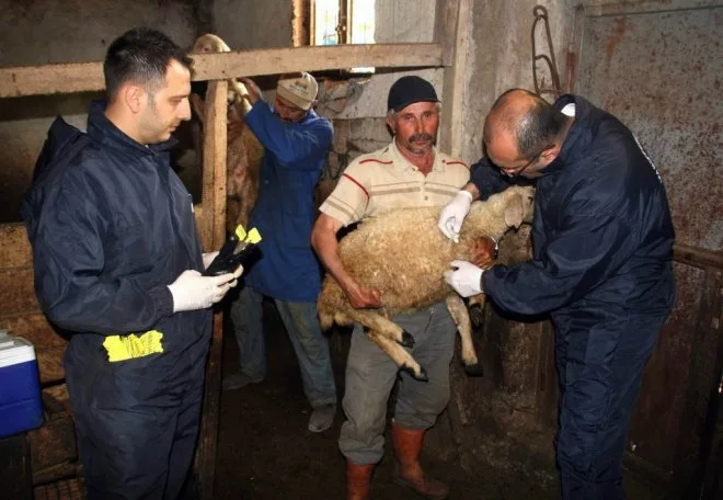 Aşılamalar devam ediyor