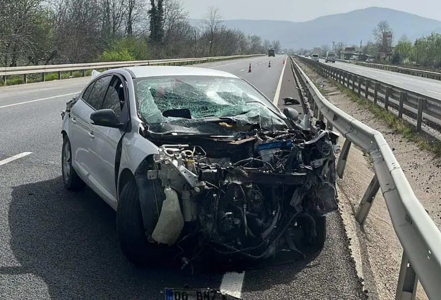 İnegöl'de can pazarı