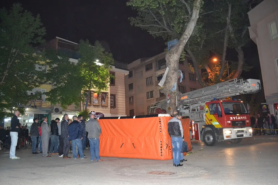 Yine ağaca çıktı