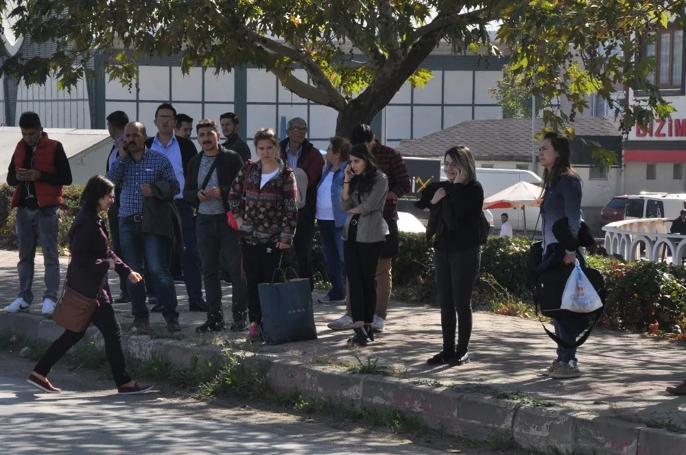 Faciaya Kıl Payı