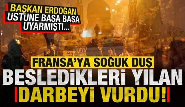 Besledikleri yılan, Fransa'yı soktu