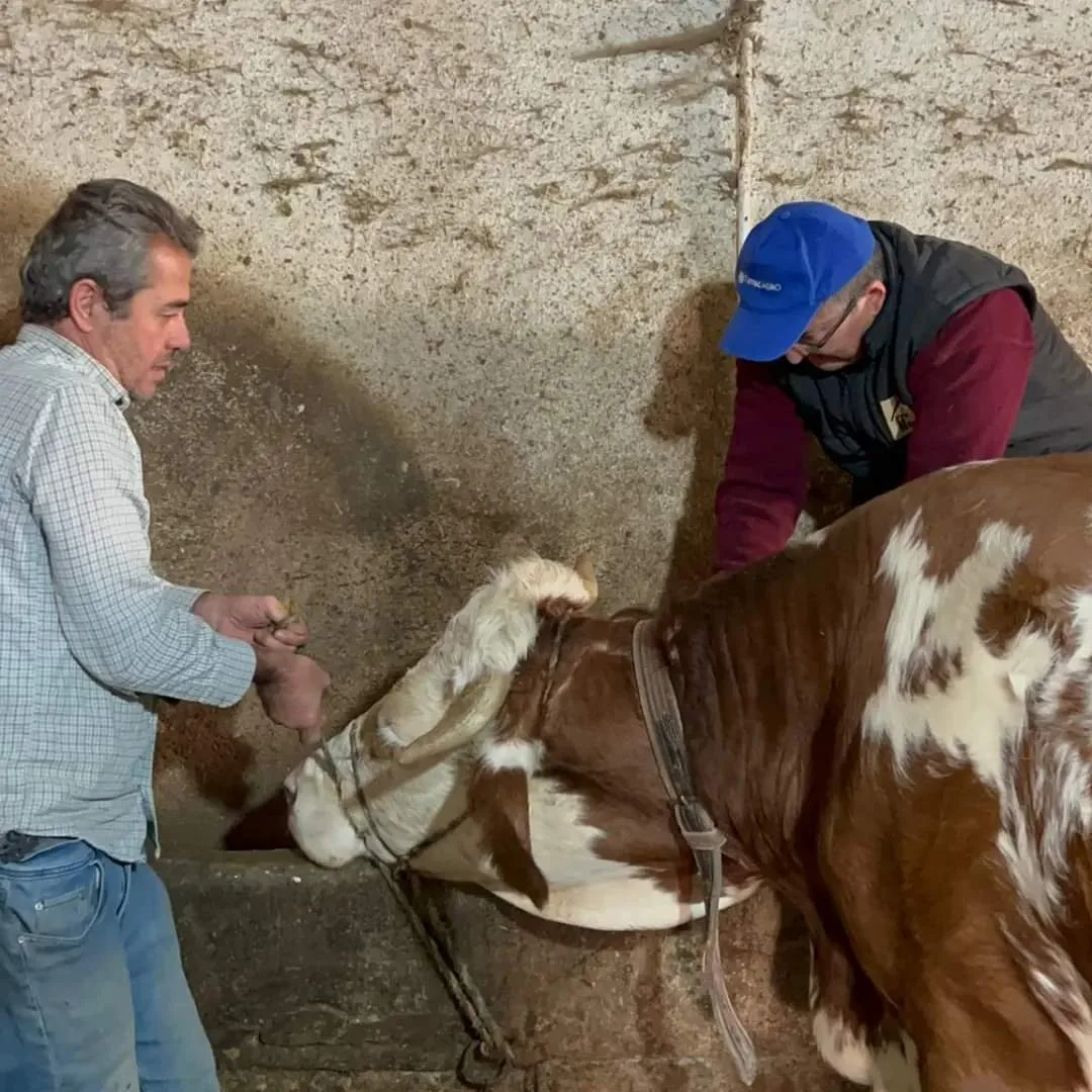 İnegöl'ün köylerinde o işlem yeniden başladı
