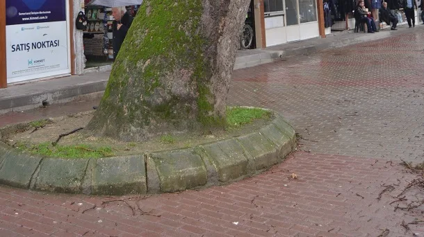 Önlem alınmazsa kayıp büyük olur