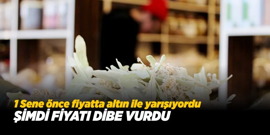 FİYATI DÜŞTÜ