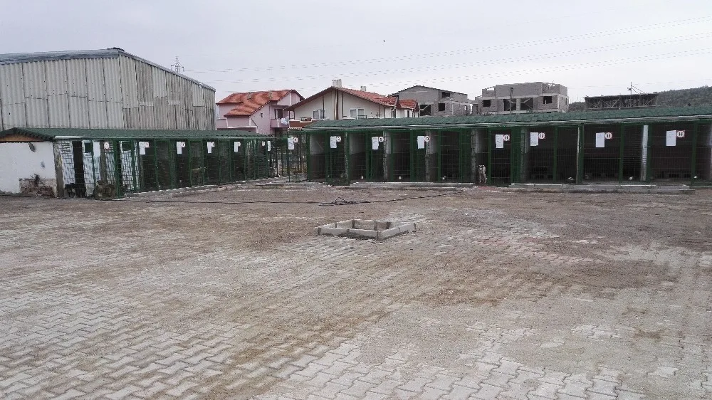Gemlik Belediyesine Anlamlı Ödül