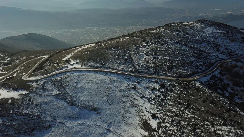 Gemlike Yeni Orman