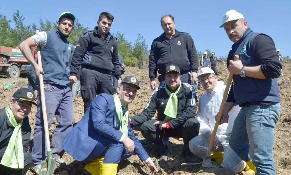 Gemlikteki Yangının Yaraları Sarılıyor