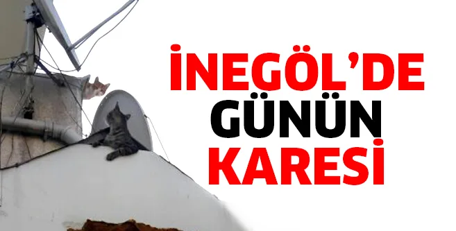 İnegöl'de günün karesi