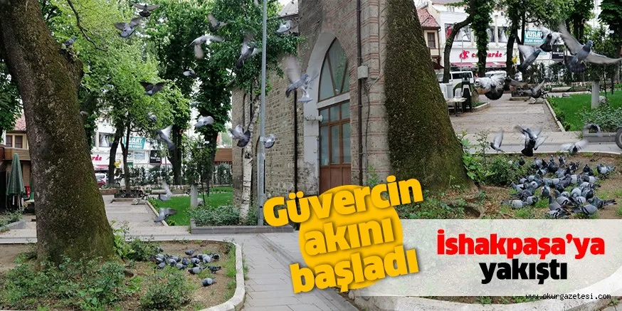 GÜVERCİNLER İSHAKPAŞA’YA YAKIŞTI