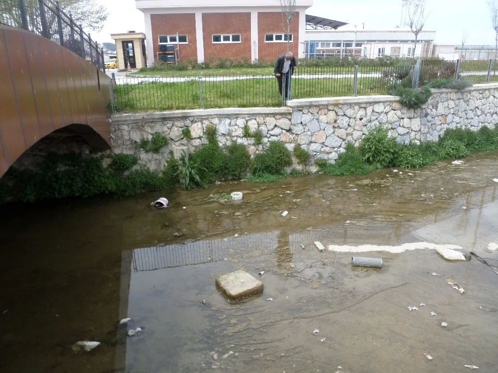Güzelyalıda Dere Kirliliği