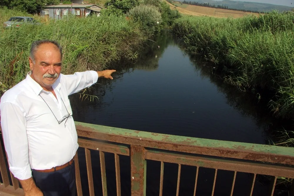 Has Tavuka Büyük Ceza