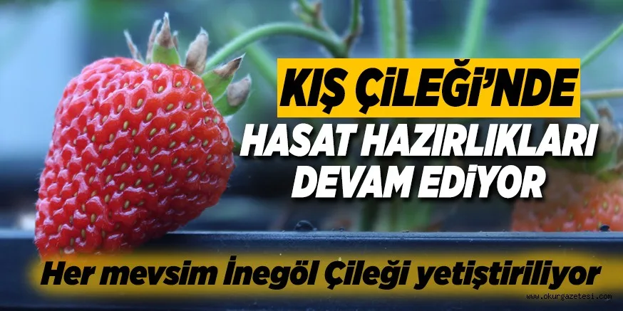 HASAT HAZIRLIKLARI