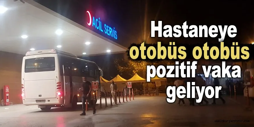 Hastaneye otobüs otobüs pozitif vaka geliyor