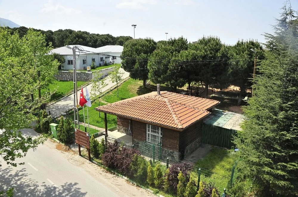 Hayvan Bakım Evi Ve Tedavi Merkezinin Kapasitesi Yüzde 75 Arttırıldı