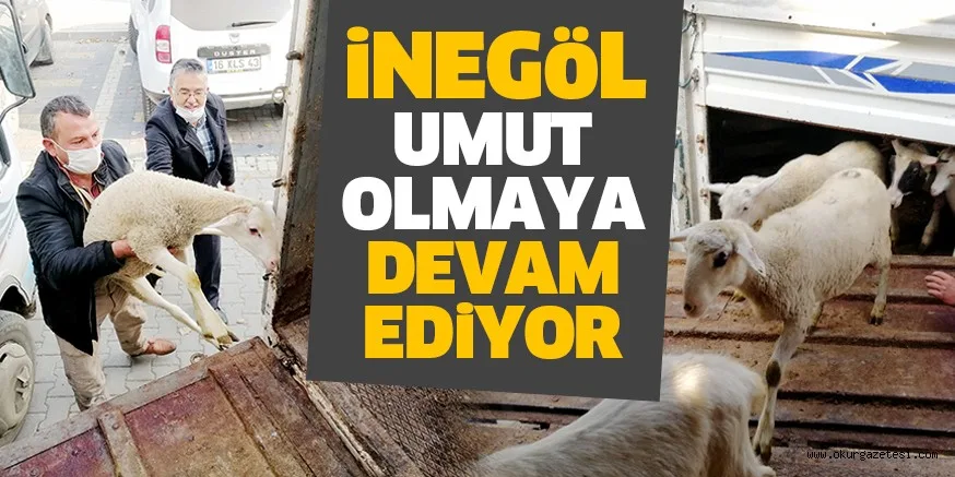 Hayvanları telef olan yetiştiriciye, İnegöl’den yardım eli