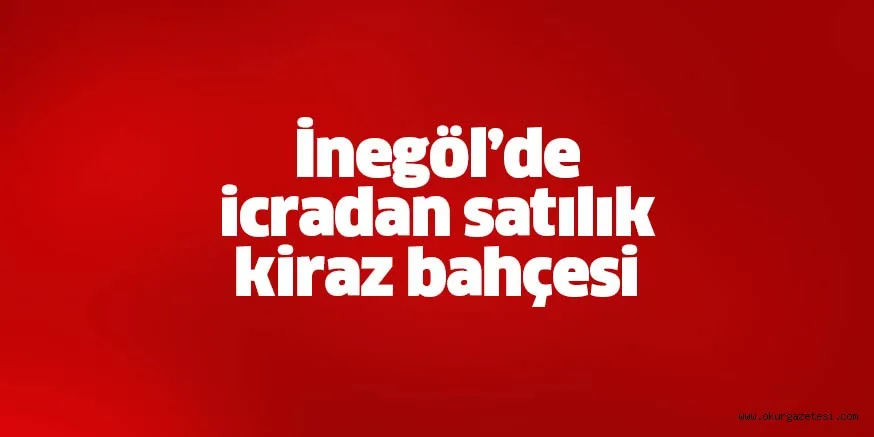 İcradan satılık kiraz bahçesi