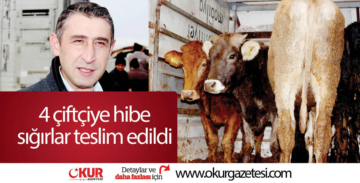 4 çiftçiye hibe sığırlar teslim edildi