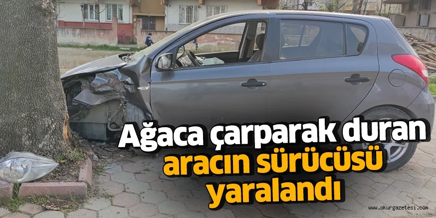 İnegöl'de ağaca çarparak duran aracın sürücüsü yaralandı