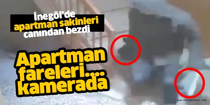İnegöl’de apartmandan ayakkabı hırsızlığı güvenlik kamerasında