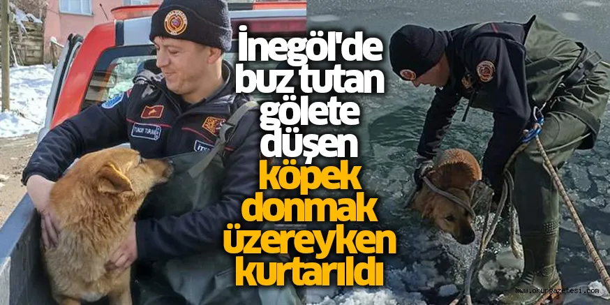 İnegöl'de buz tutan gölete düşen köpek donmak üzereyken kurtarıldı