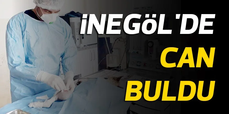 iNEGöL'DE CAN BULDU