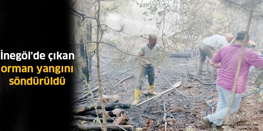 İnegöl'de çıkan orman yangını söndürüldü