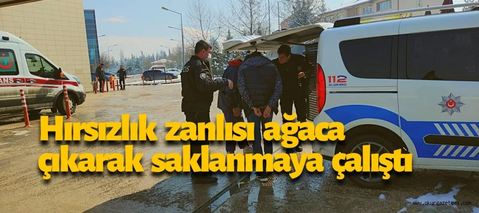 İnegöl'de hırsızlık zanlısını polisler ağaçtan indirdi
