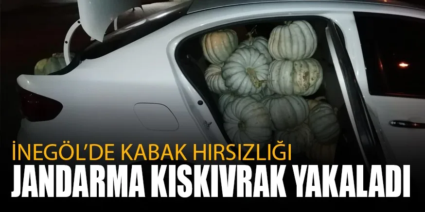 iNEGöL’DE KABAK HIRSIZLIĞI