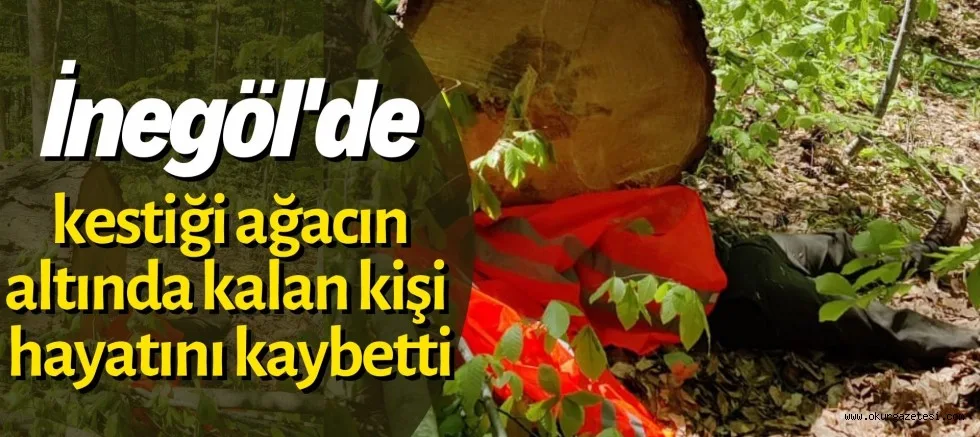 İnegöl'de kestiği ağacın altında kalan kişi hayatını kaybetti