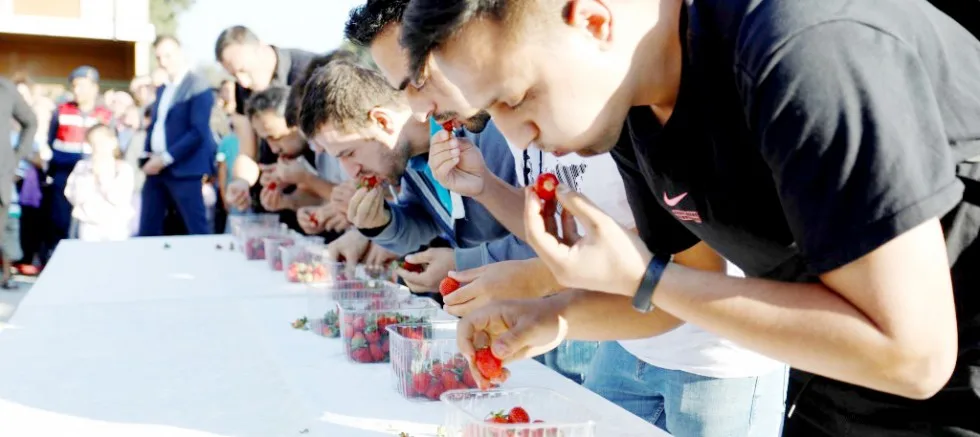 İnegöl’de ‘Kırmızı Elmas’ şenliği