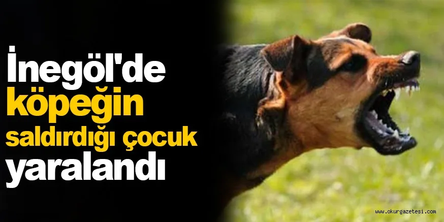 İnegöl'de köpeğin saldırdığı çocuk yaralandı