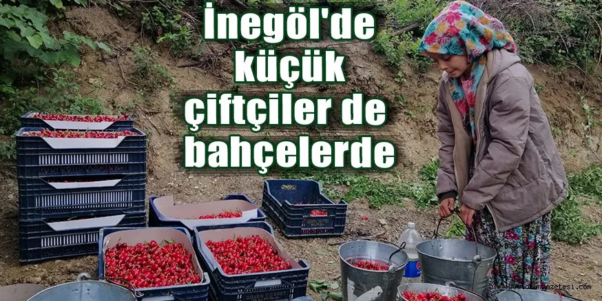 İnegöl'de küçük çiftçilerde bahçelerde