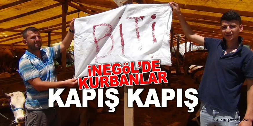 iNEGöL’DE KURBANLAR KAPIŞ KAPIŞ