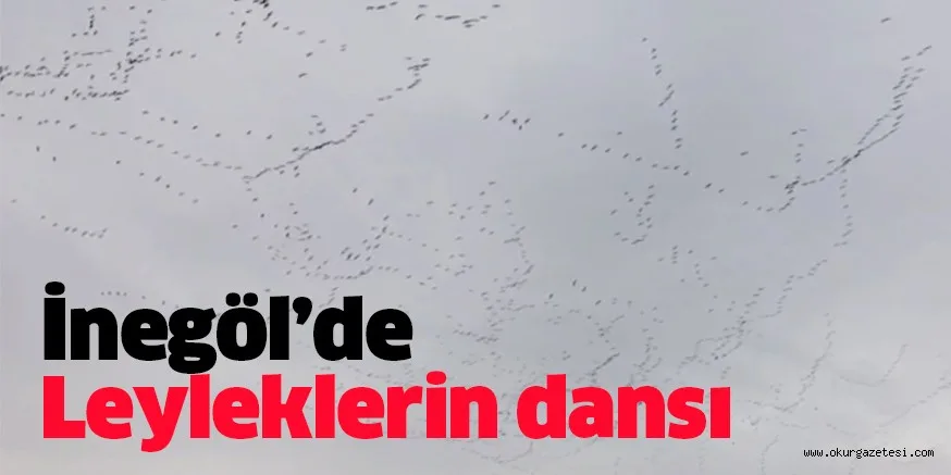 İnegöl’de leyleklerin gökyüzü dansı büyüledi