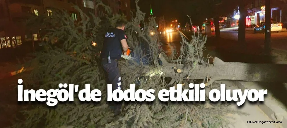 İnegöl'de lodos nedeni ile devrilen ağaçlar ulaşımı aksattı