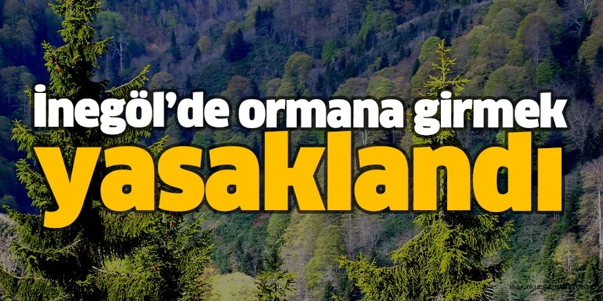 İnegöl’de ormana girmek yasaklandı